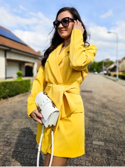 Alba Blazer Dress