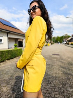 Alba Blazer Dress